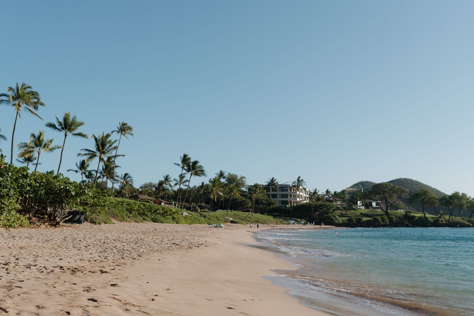 Calm morning water and palm trees on a beach in Kihei, south Maui